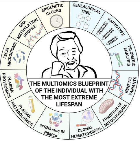 ¿Qué hemos aprendido al estudiar a la persona más longeva del mundo?